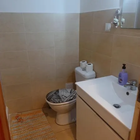 Homestay Lucass House
